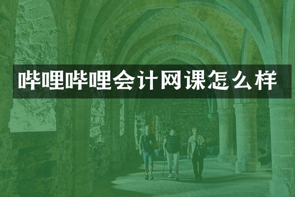 哔哩哔哩会计网课怎么样