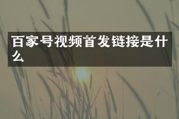 百家号视频首发链接是什么