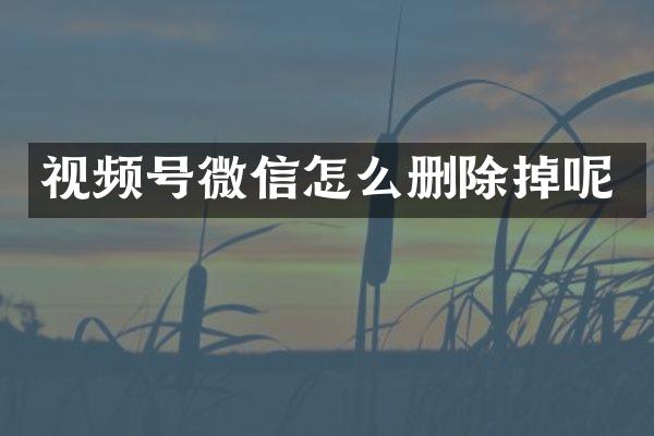 视频号微信怎么删除掉呢