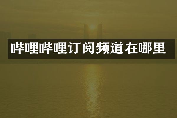 哔哩哔哩订阅频道在哪里