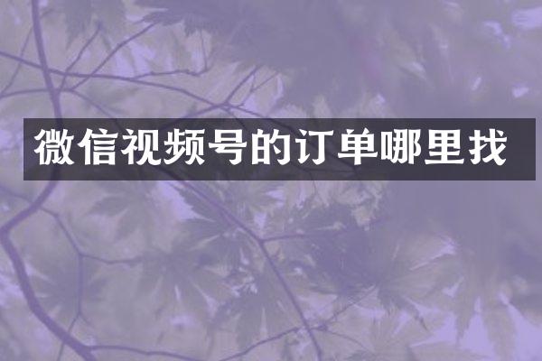 微信视频号的订单哪里找