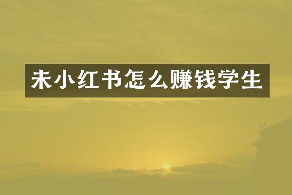未小红书怎么赚钱学生