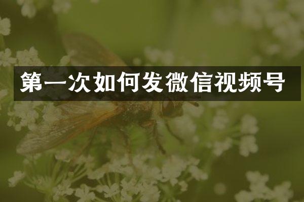 第一次如何发微信视频号