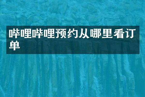 哔哩哔哩预约从哪里看订单