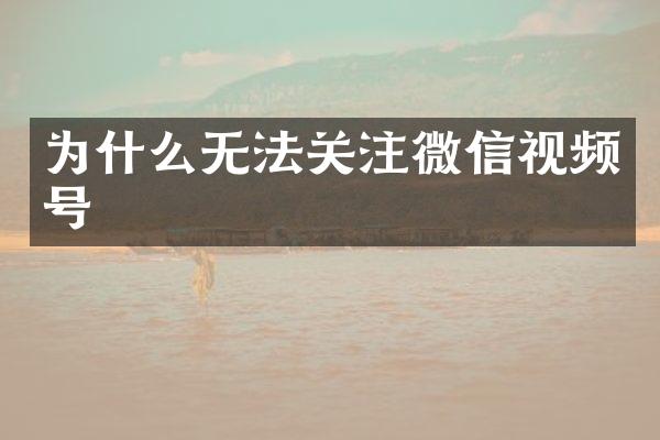 为什么无法关注微信视频号