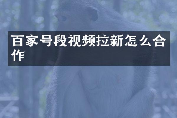 百家号段视频拉新怎么合作