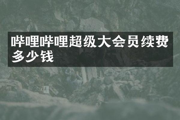 哔哩哔哩超级大会员续费多少钱