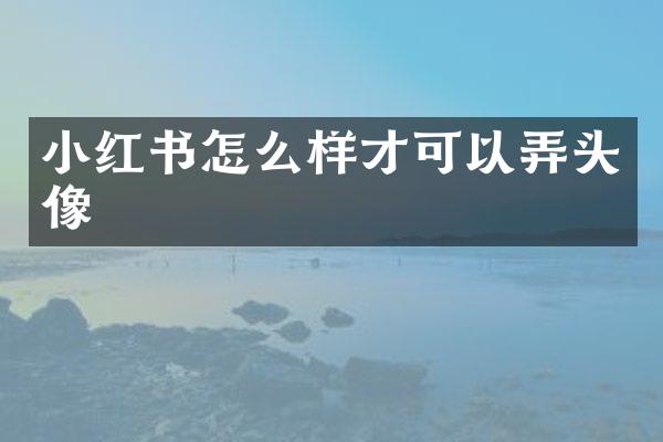 小红书怎么样才可以弄头像