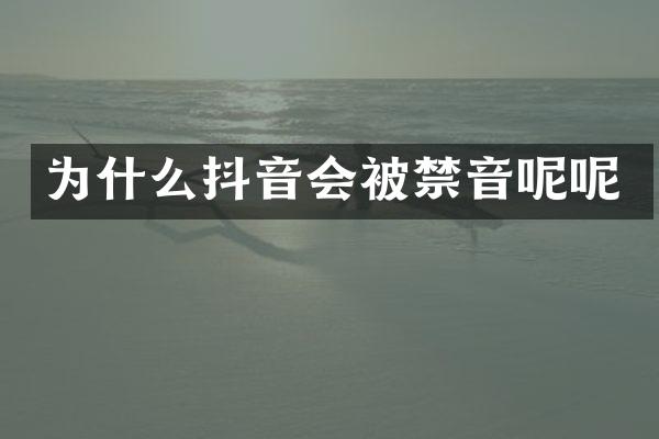为什么抖音会被禁音呢呢