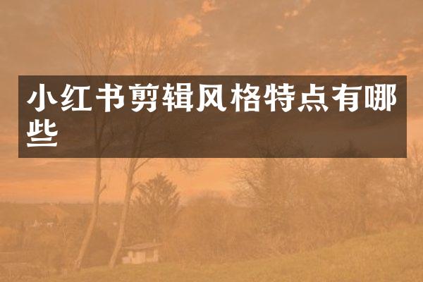 小红书剪辑风格特点有哪些