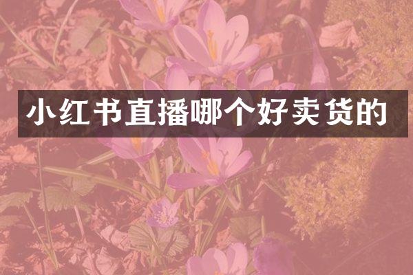 小红书直播哪个好卖货的