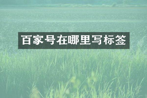 百家号在哪里写标签