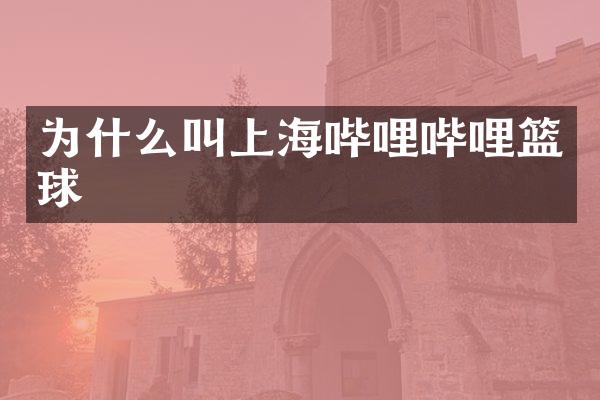 为什么叫上海哔哩哔哩篮球