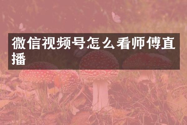 微信视频号怎么看师傅直播