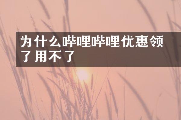 为什么哔哩哔哩优惠劵领了用不了