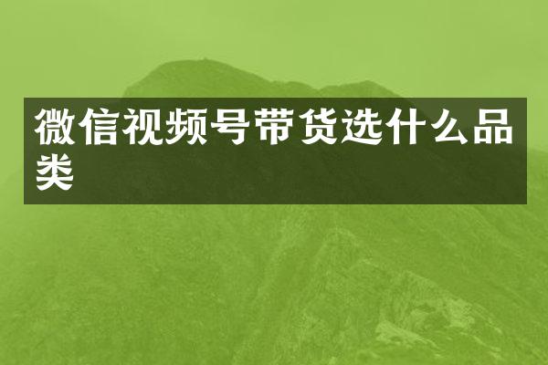 微信视频号带货选什么品类