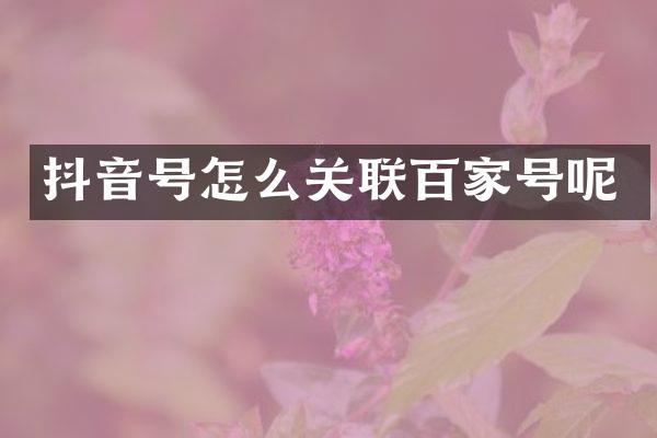 抖音号怎么关联百家号呢