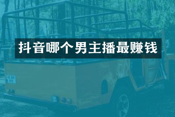 抖音哪个男主播最赚钱