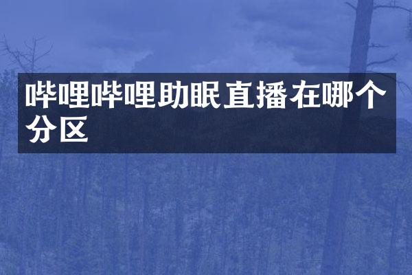哔哩哔哩助眠直播在哪个分区