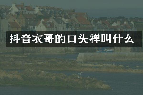 抖音衣哥的口头禅叫什么