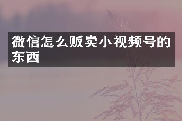 微信怎么贩卖小视频号的东西