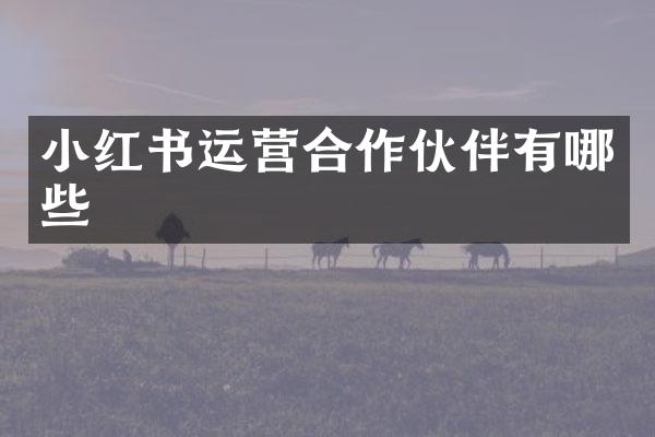 小红书运营合作伙伴有哪些