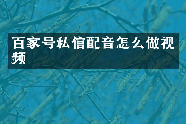 百家号私信配音怎么做视频