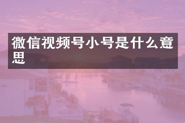 微信视频号小号是什么意思