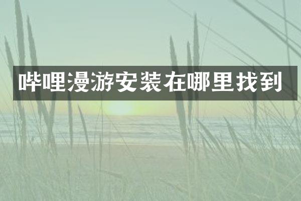 哔哩漫游安装在哪里找到