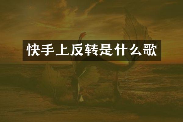 快手上反转是什么歌