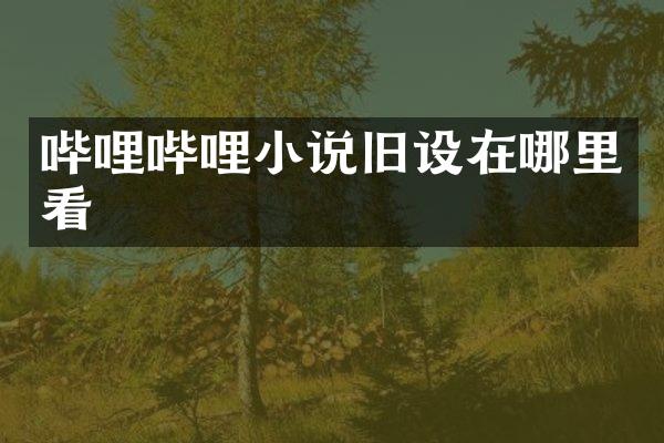 哔哩哔哩小说旧设在哪里看