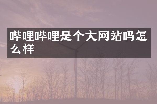 哔哩哔哩是个大网站吗怎么样