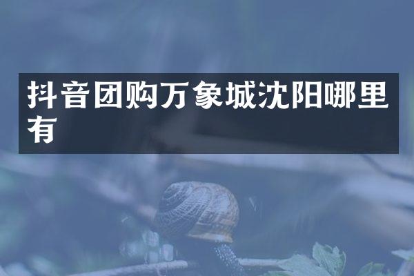 抖音团购万象城沈阳哪里有