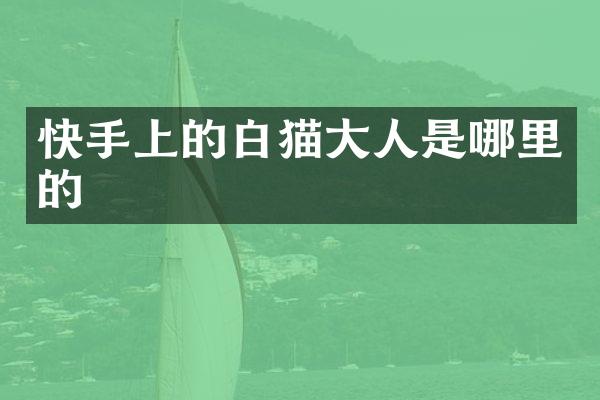 快手上的白猫大人是哪里的