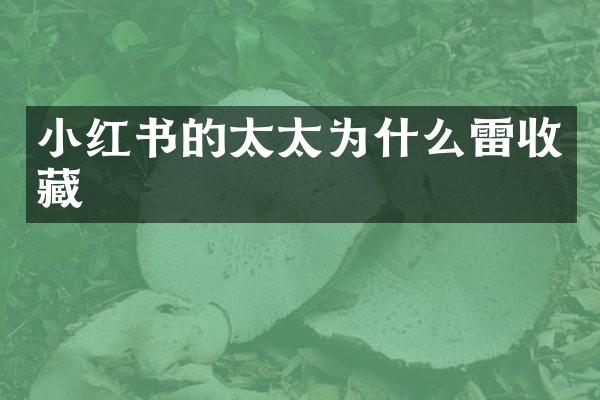 小红书的太太为什么雷收藏