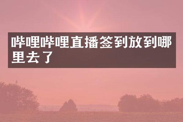 哔哩哔哩直播签到放到哪里去了