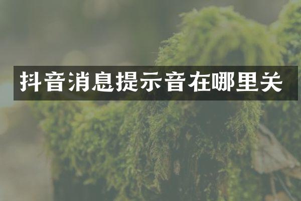 抖音消息提示音在哪里关