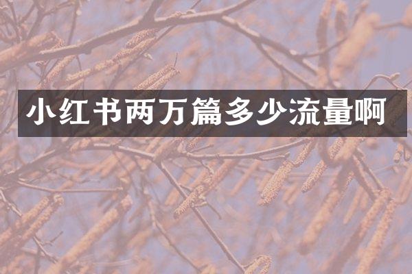 小红书两万篇多少流量啊