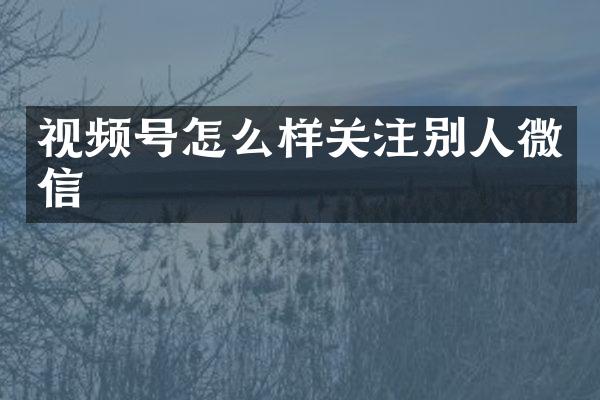 视频号怎么样关注别人微信
