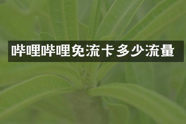 哔哩哔哩免流卡多少流量