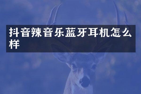 抖音辣音乐蓝牙耳机怎么样