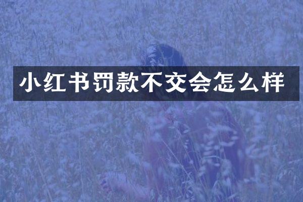 小红书罚款不交会怎么样