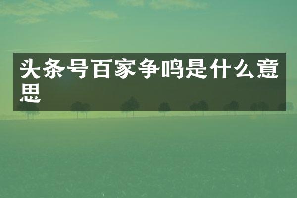 头条号百家争鸣是什么意思