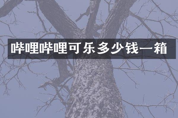 哔哩哔哩可乐多少钱一箱