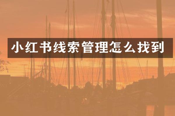 小红书线索管理怎么找到