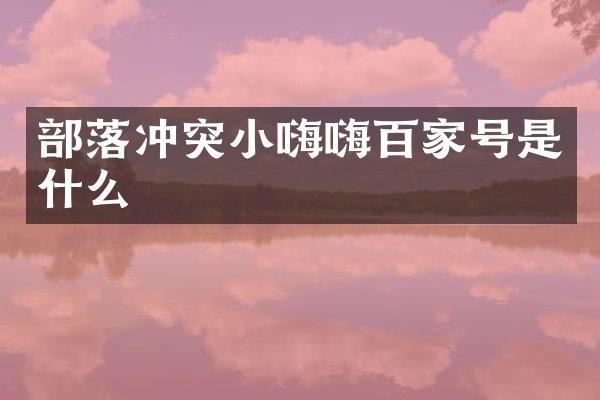 部落冲突小嗨嗨百家号是什么