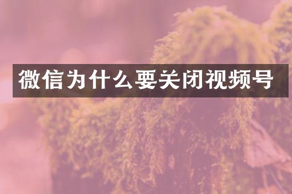 微信为什么要关闭视频号