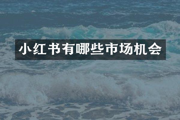 小红书有哪些市场机会