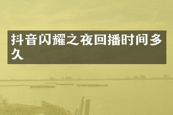 抖音闪耀之夜回播时间多久