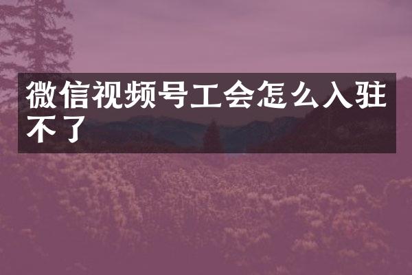 微信视频号工会怎么入驻不了